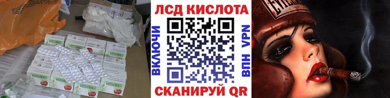 хочу наркоту Дмитриев Лсд 25 экстази ecstasy