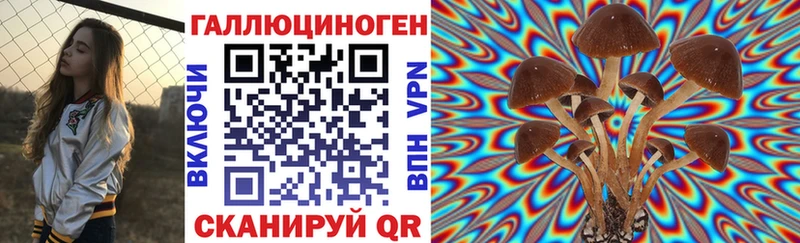 продажа наркотиков hydra как войти Псилоцибиновые грибы GOLDEN TEACHER Дмитриев
